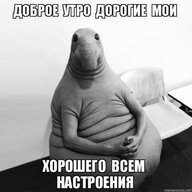 Kostya_Savikov