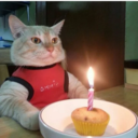 ::cattos30::
