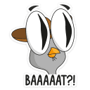 :suspiciousowl13: