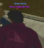 samp155.png