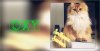 PicsArt_10-02-06.02.26.jpg