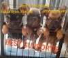 IMG_20190902_072026.jpg IMG_20190902_072026.jpg