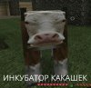 20191211_194131.jpg