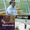 Кат.jpg