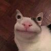 10.png