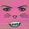 11.png