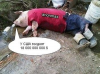 1579458890810.png