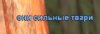 Screenshot_63.jpg