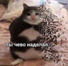1589554885445.png