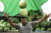 1591316484005.png