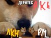 B9BAA387-FEA5-4F9D-8817-44EF62FE2E3A.jpeg