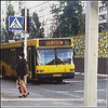1601756040_pressa_tv_foto_prikoly_vosskreseniya-26.png