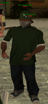 sa-mp-190.png