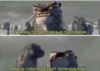 1611945476795.png