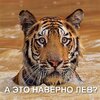DLhB_yGXUAApo4T.jpg