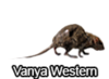 Без имени-1.png