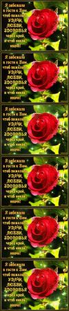2fd59737f0bd339071d5749e74ff5553f9cbcf1e8c632dd20bc79a53940bd625.gif