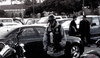 DesertedTidyCapeghostfrog-max-1mb.gif