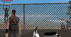 2022-01-23_10-26-54.png