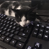 c67fac6a7f6daf71396621e77cfa9c17.png