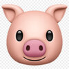 kisspng-pig-emoji-iphone-x-sticker-clip-art-pig-face-5b25a024040cf8.8310994915291924840166.jpg