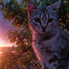 61005cec0730ccb88dbaaa532e7fbd6d.png