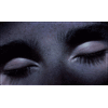 45333.gif