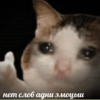 1655063825980.png
