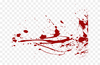 images.png