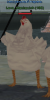 Screenshot_9.png