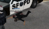 1673645388536.png