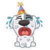 1675582003124.png