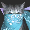 c513e28c4d9a9f45e159e453627cb05e.png