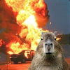 fba5f47b581b6884d83f6b7ffce835e9.png