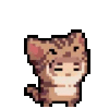 11.gif
