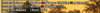 1687198848396.png