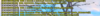 1687504330142.png
