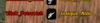 1687904021609.png