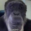 1689003565551.png
