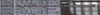 1691350087882.png