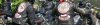 123312.png