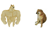 1707988474091.png