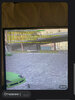 IMG_9084.jpeg