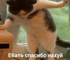 1718360243926.png