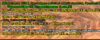 Grand Theft Auto  San Andreas Screenshot 2024.07.06 - 19.54.48.17.png