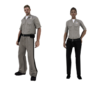 insps.png