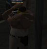 sa-mp-084.png