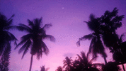 1725580968250.gif