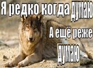 funny-klev-club-p-smeshnie-kartinki-volk-s-nadpisyu-19.jpg