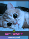1731093532631.png